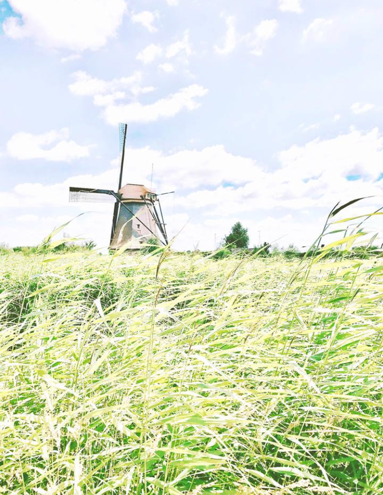 kinderdijk
