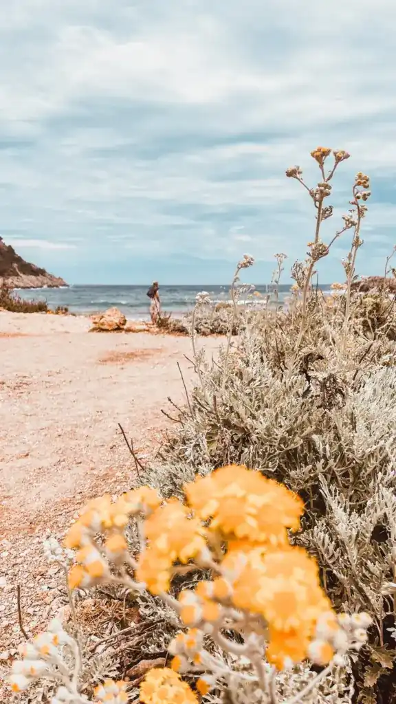 Cala Molto a Maiorca: guide di viaggio di pureJoy