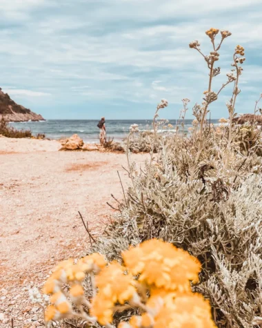 Cose da vedere a Maiorca cover
