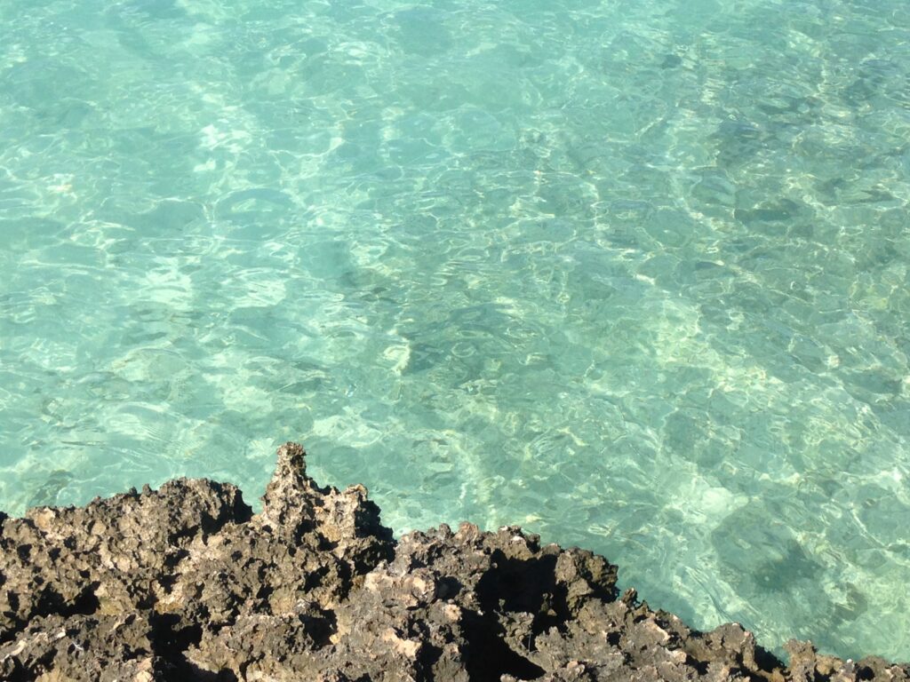 Aruba cosa fare le spiagge