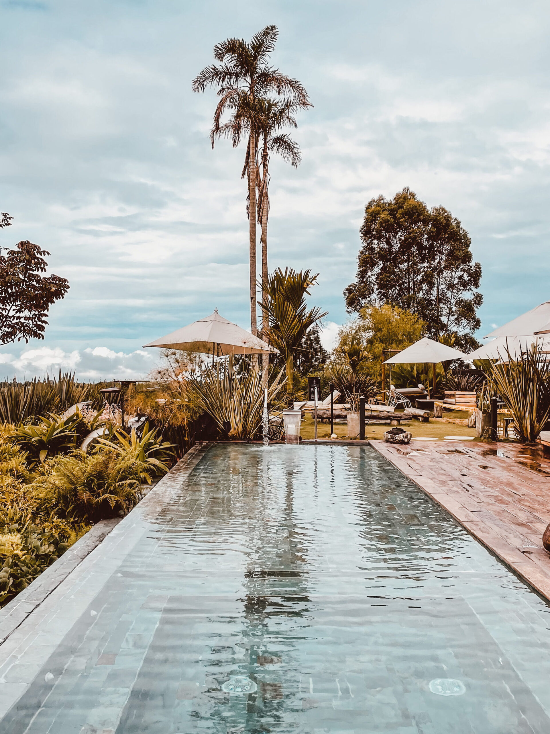 Colombia eye ccafetero bio habitat hotel