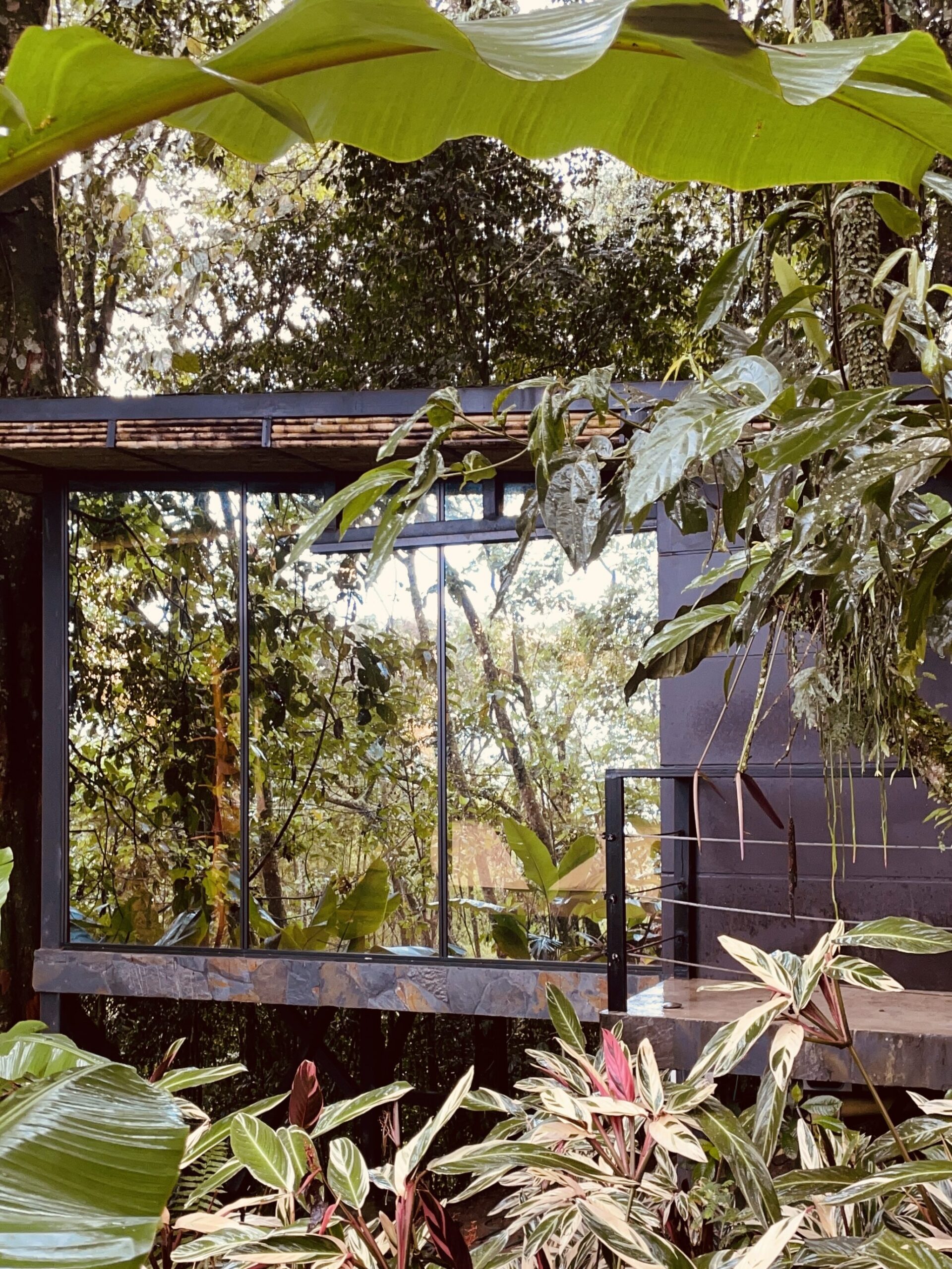 Colombia eye ccafetero bio habitat hotel