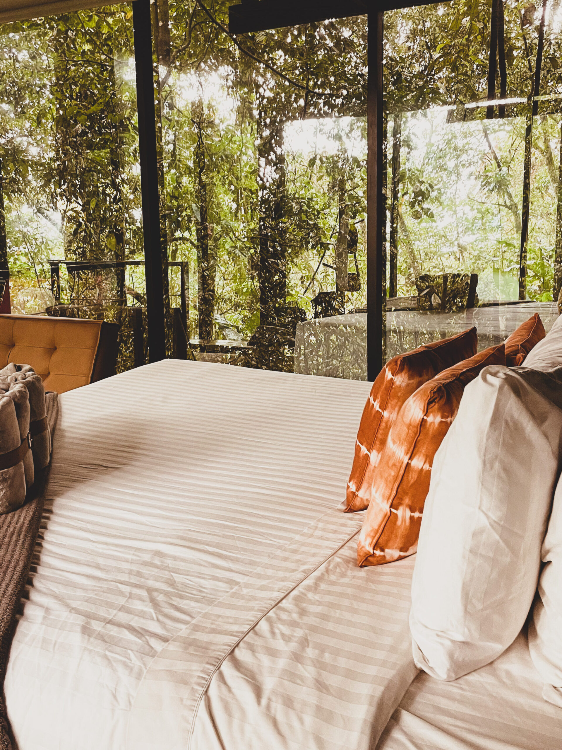Colombia eye ccafetero bio habitat hotel