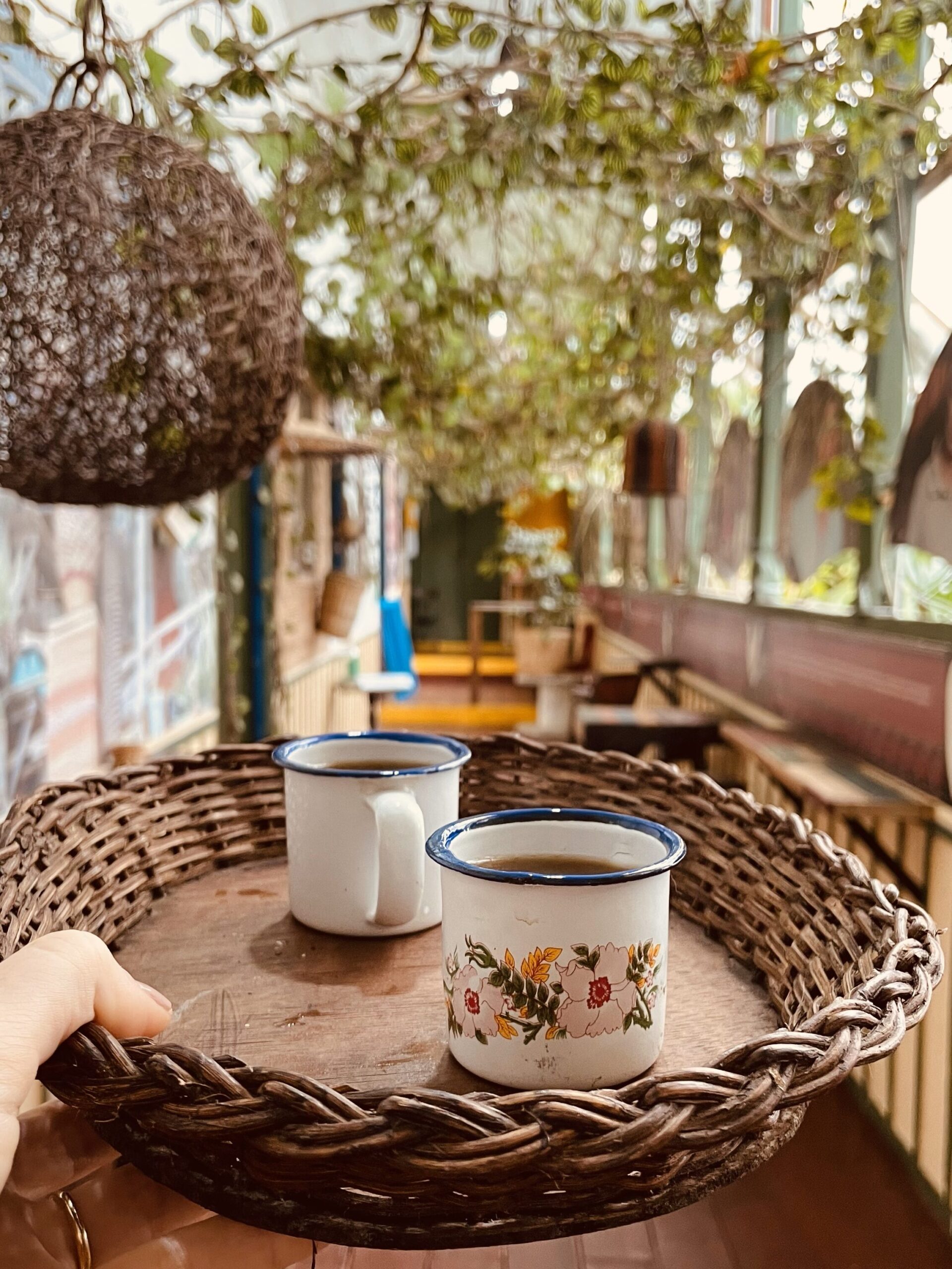 Eje Cafetero Colombia