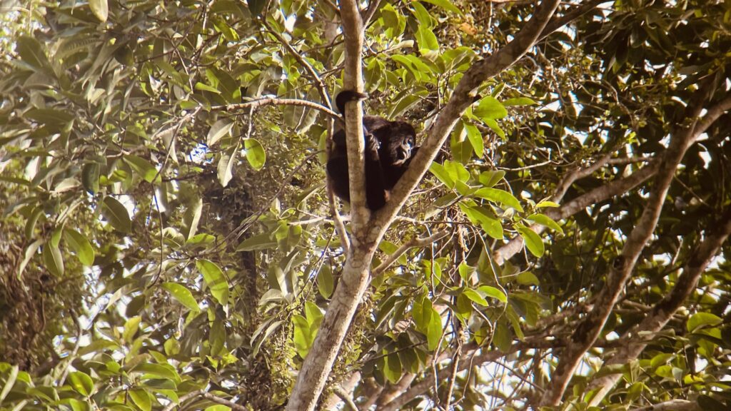 Costa_Rica_parchi_nazionali