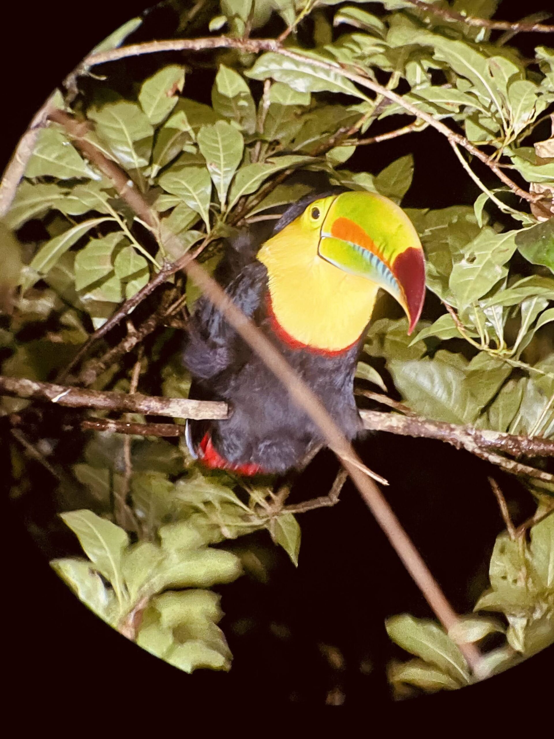 Costa_Rica_parchi_nazionali