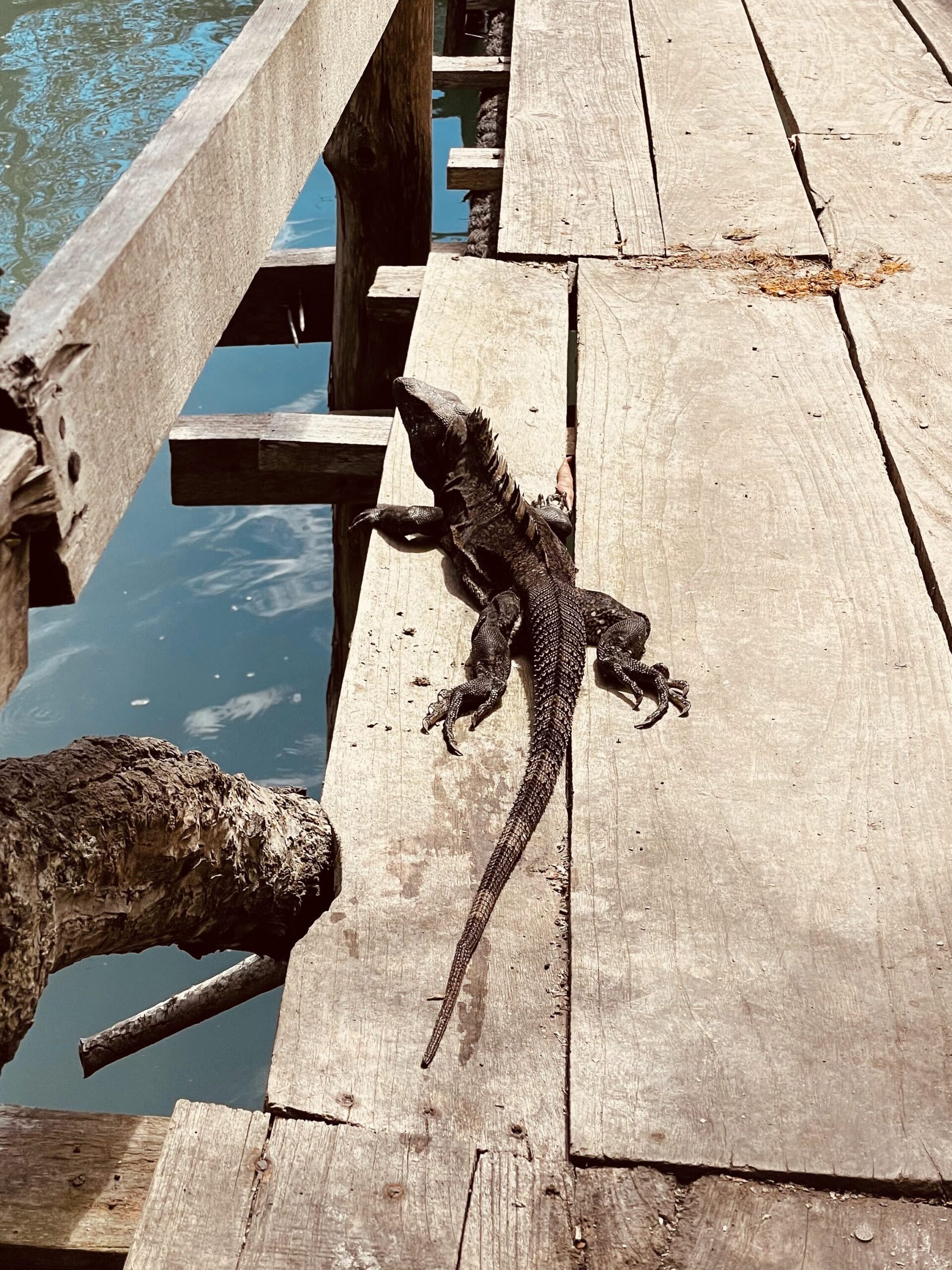 Costa_Rica_parchi_nazionali_Curù