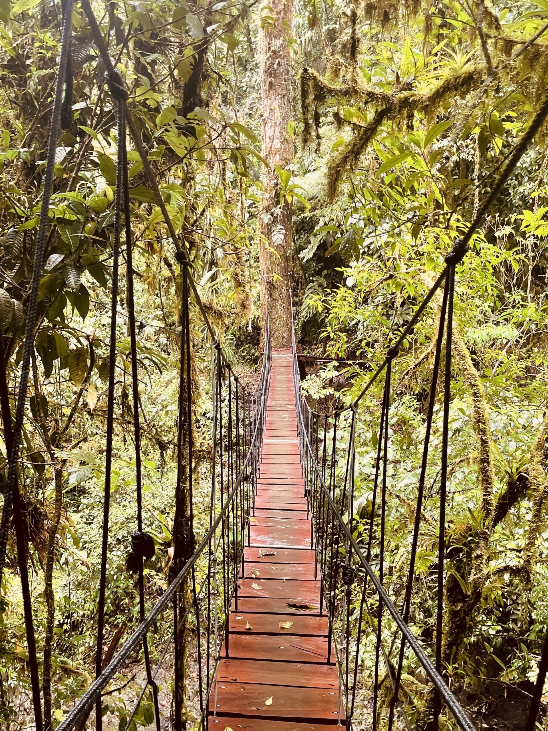 Costa_Rica_parchi_nazionali_El Tigre Waterfal