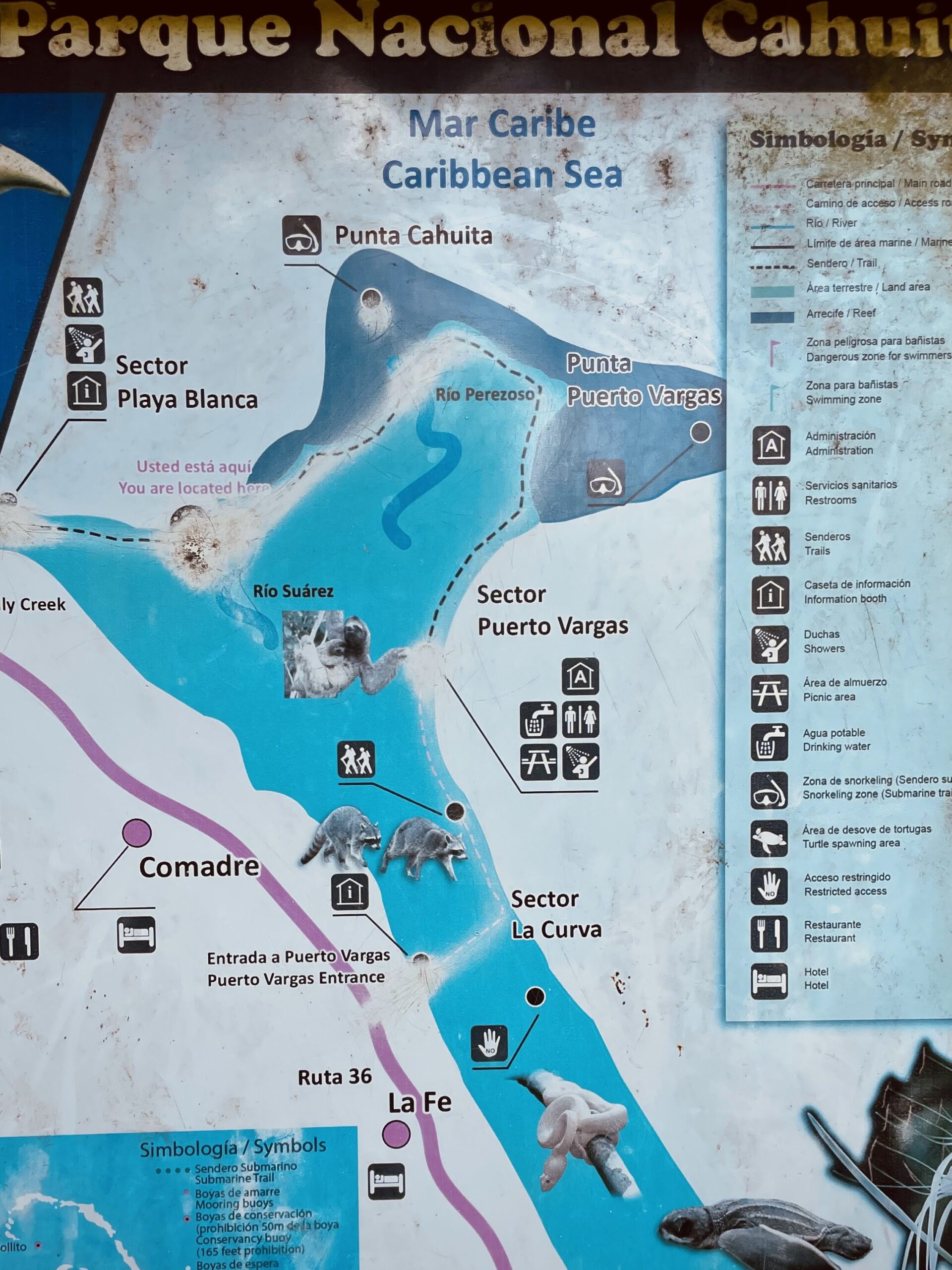 Costa_Rica_parchi_nazionali_Cahuita