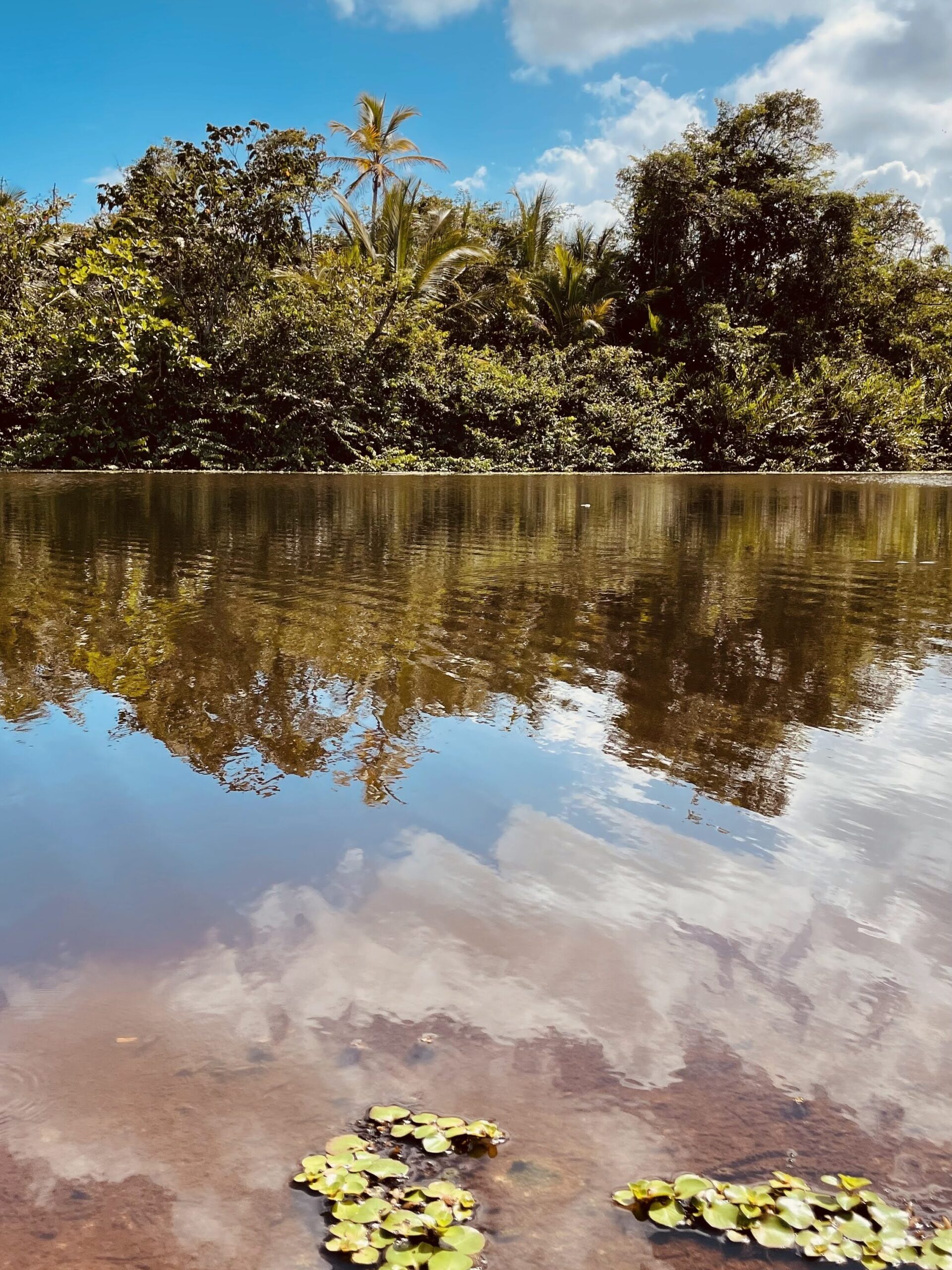 Costa_Rica_parchi_nazionali_cahuita