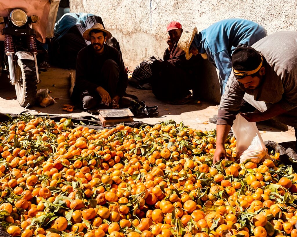 cosa_fare_a_essaouira_byChloe_haddramarket