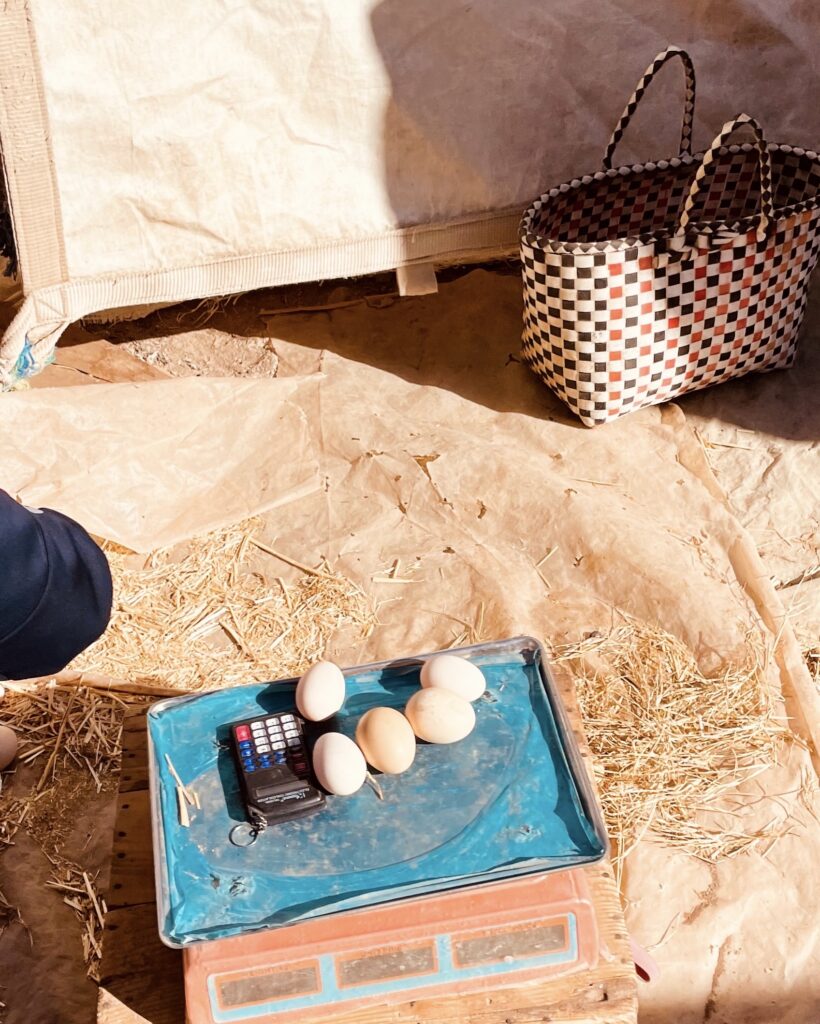 cosa_fare_a_essaouira_byChloe_mercante_di_uova