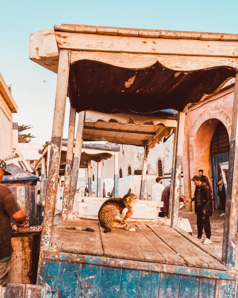cosa_fare_a_essaouira_byChloe_porto