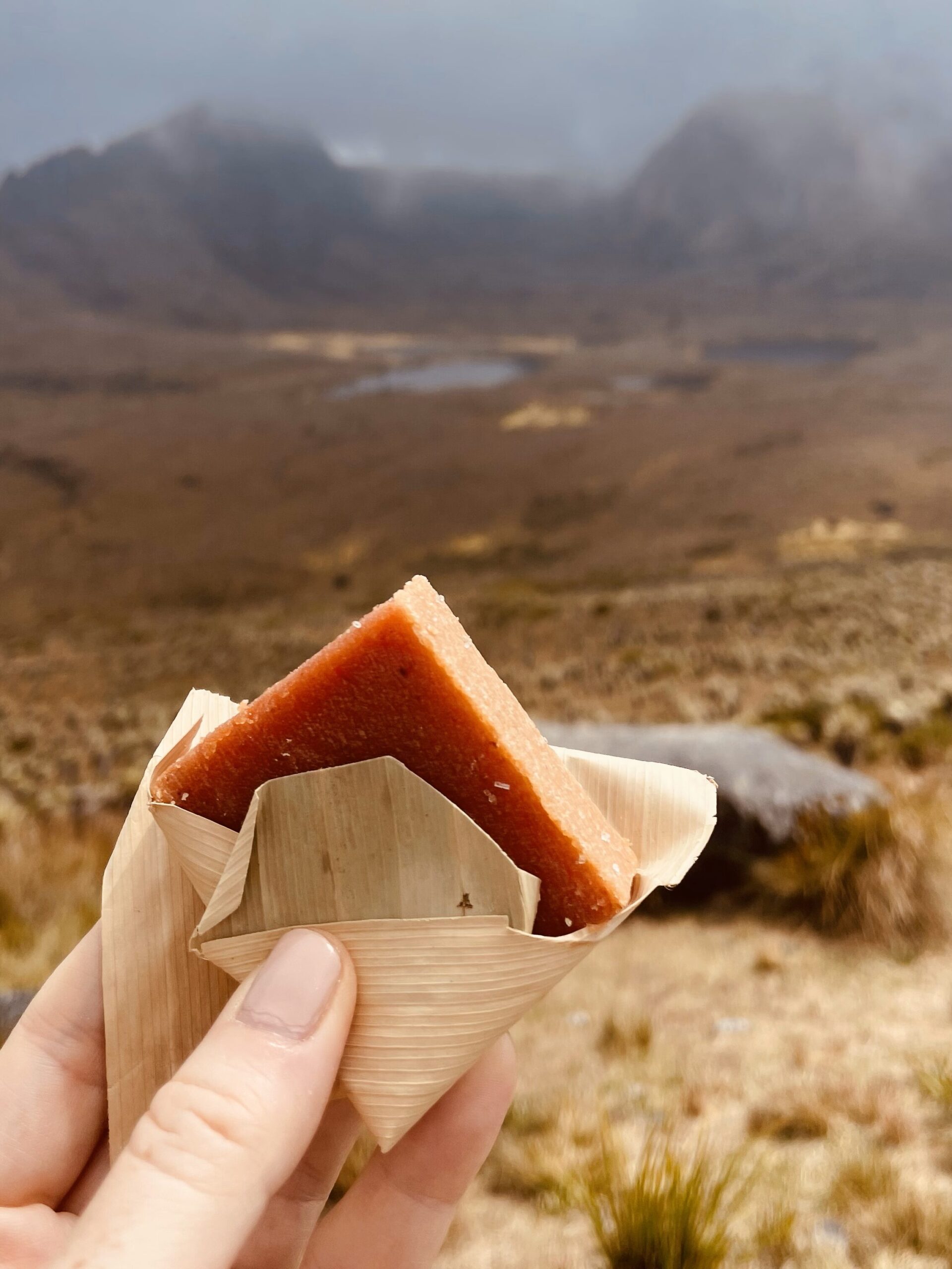páramo_de_sumapaz_bogotà_colombia