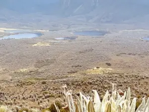 paramo_de_sumapaz_bogota_colombia