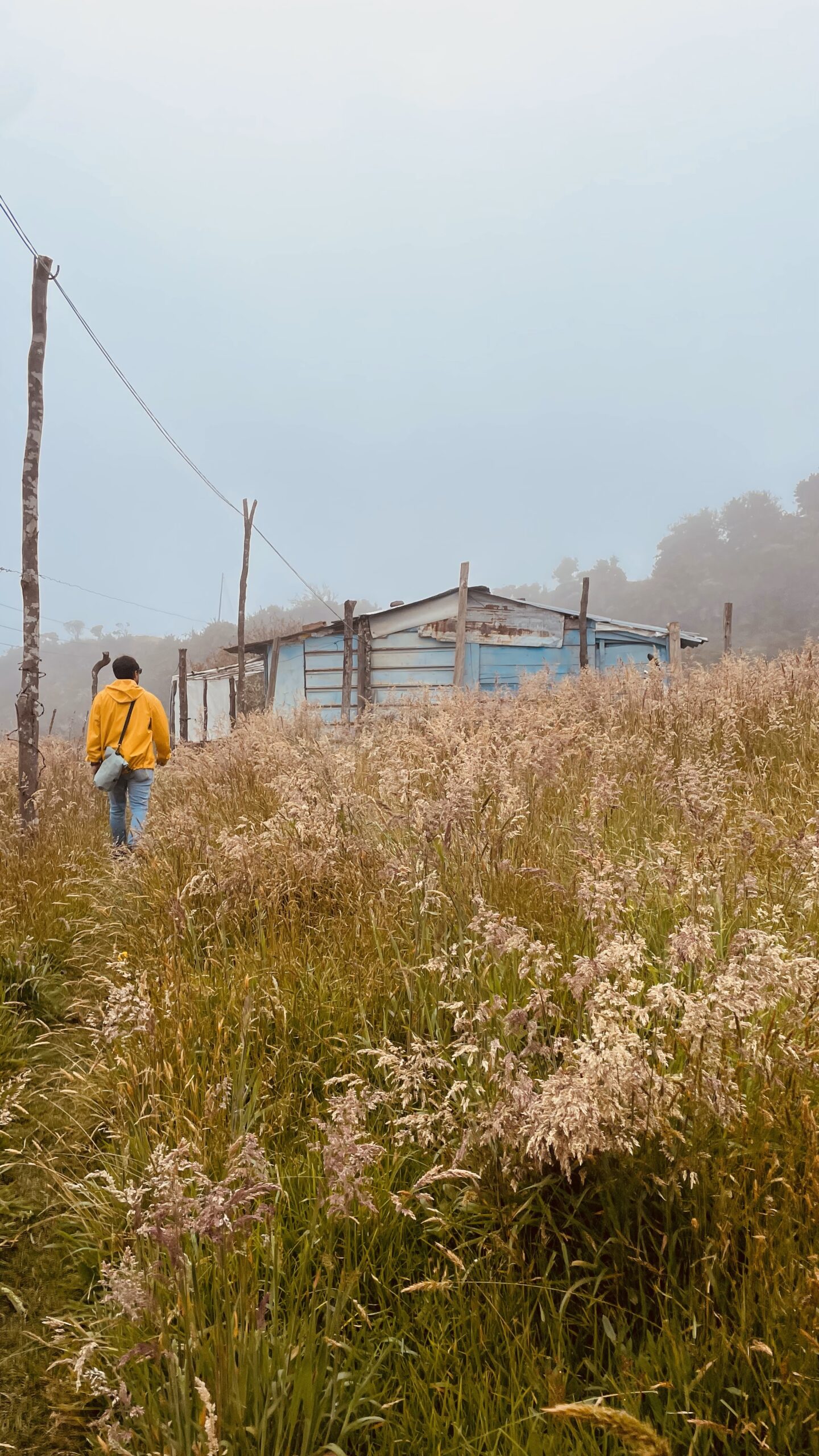trekking in Colombia