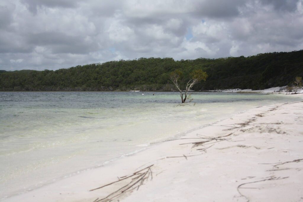 Fraser Island