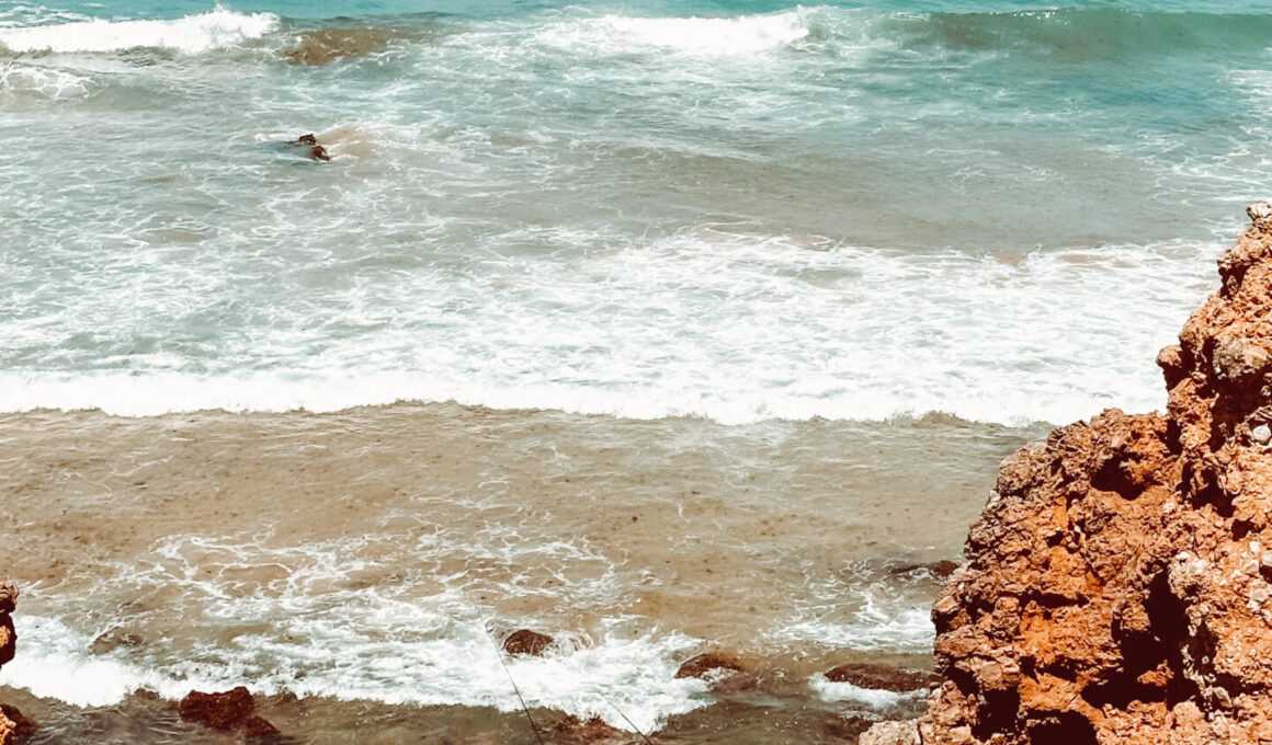 Rota Vicentina