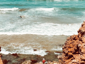 Rota Vicentina