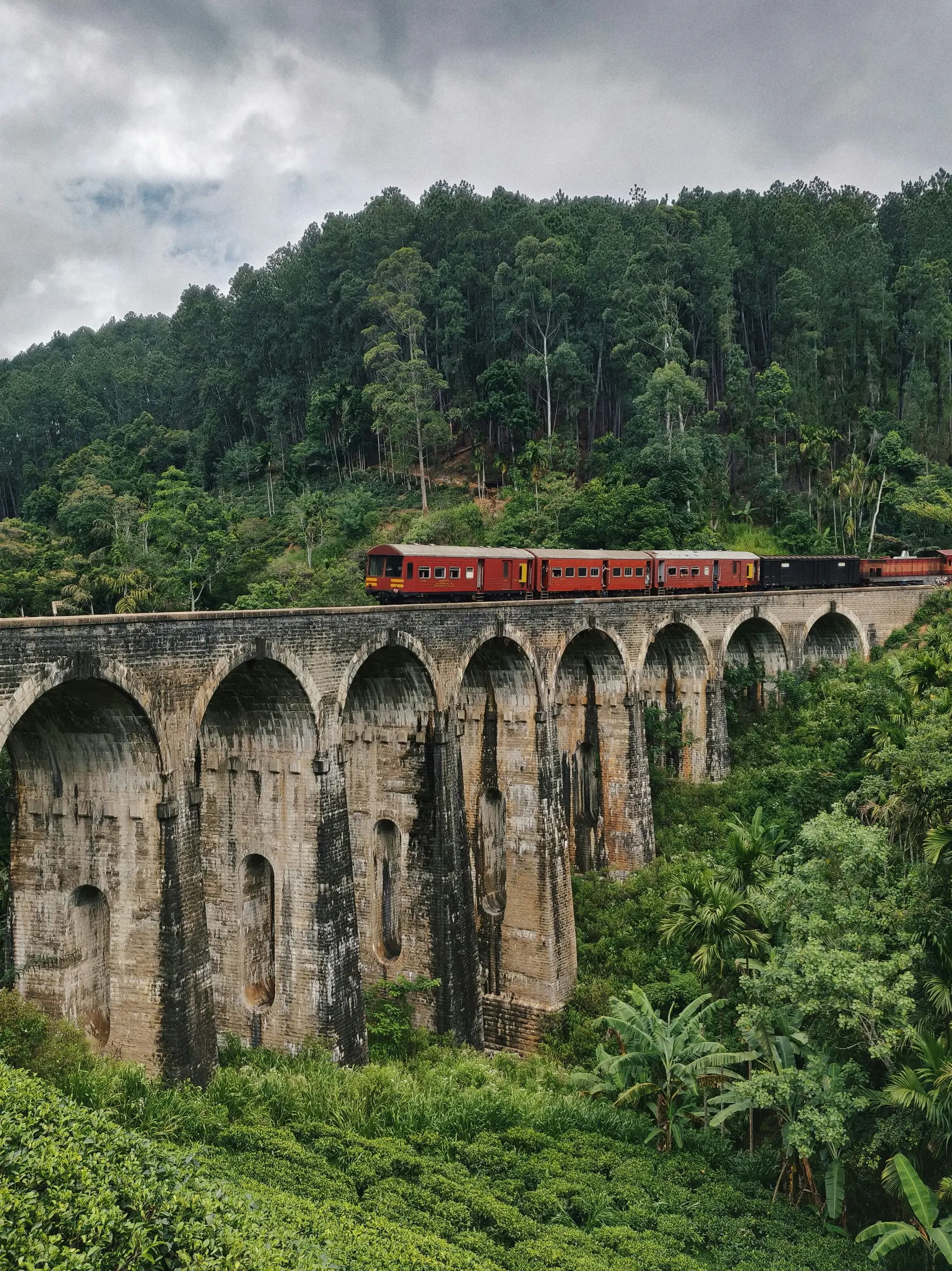 Sri Lanka treno panoramico per Ella