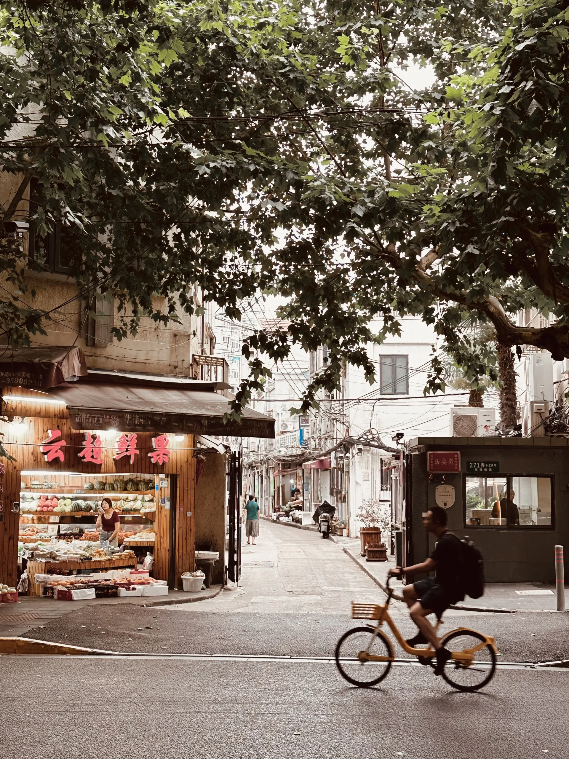 french concession cosa vedere itinerario