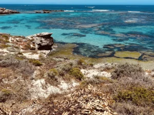 rottnest island itinerario