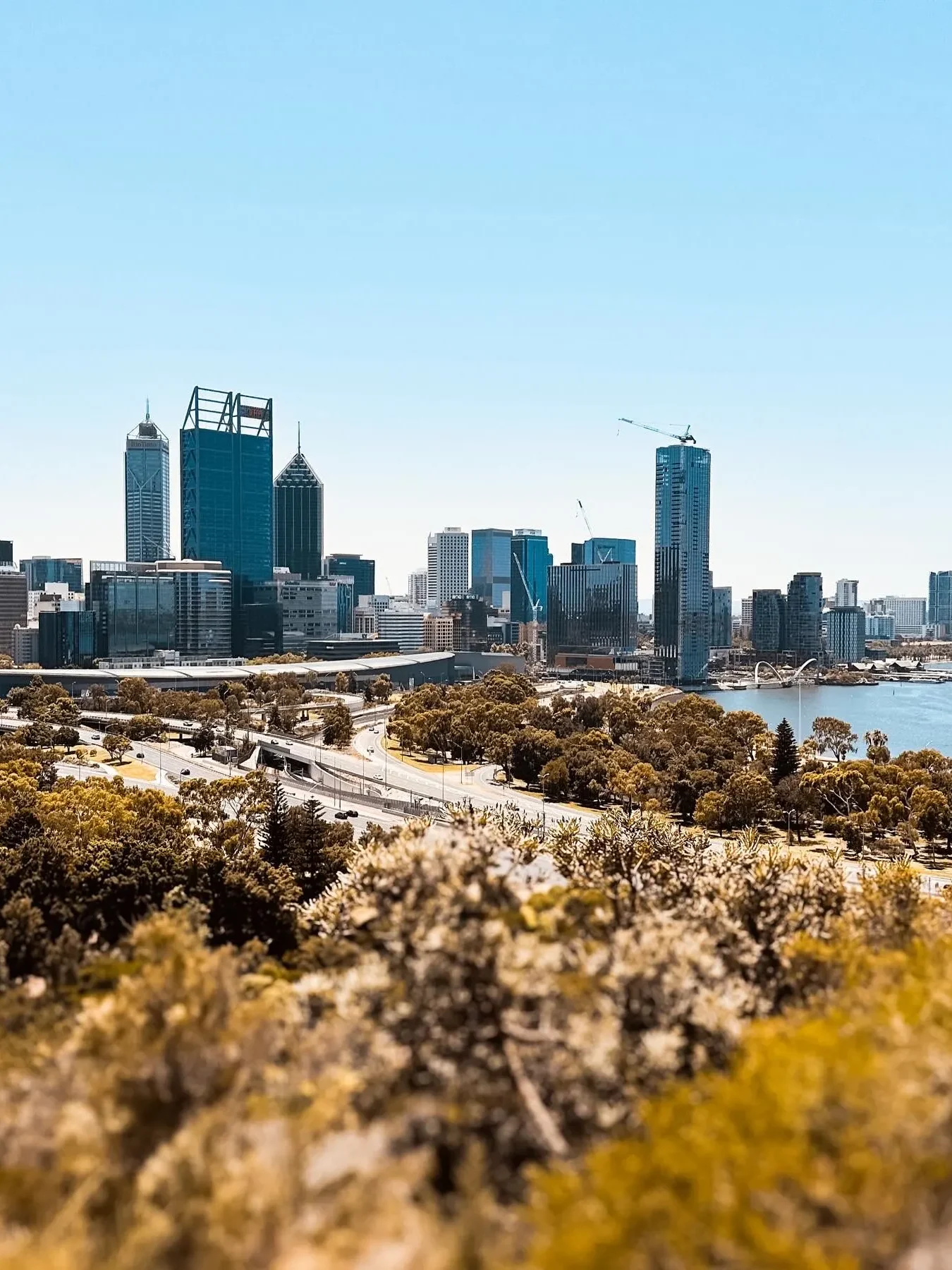 Perth Kings Park and Botanic Garden